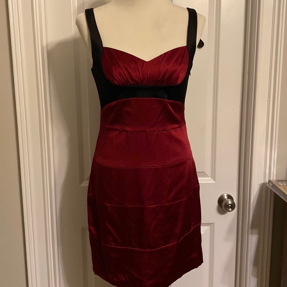 Silk fitted BCBG Max Azaria Dress Size 10